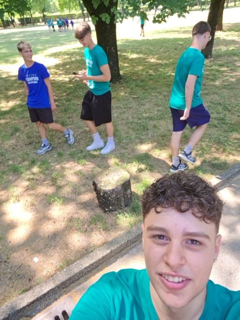 Porcinos
